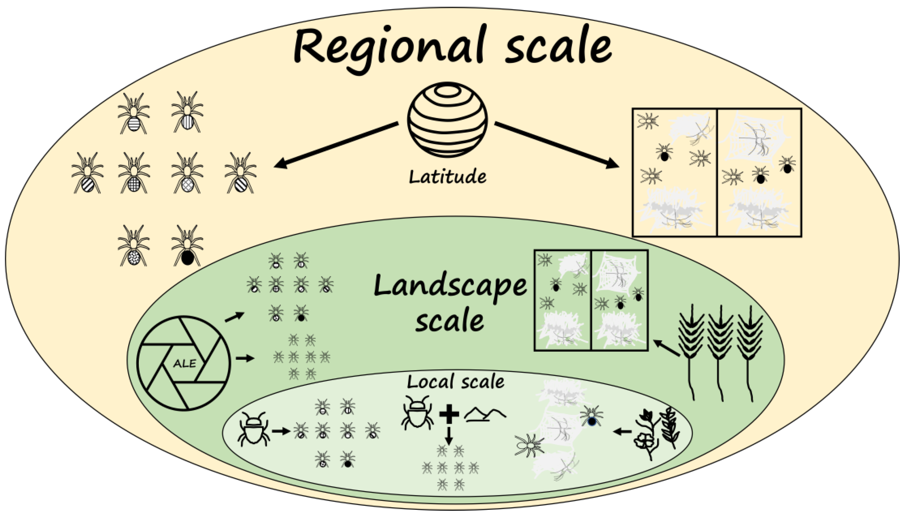 Agriculture 12 00512 g004