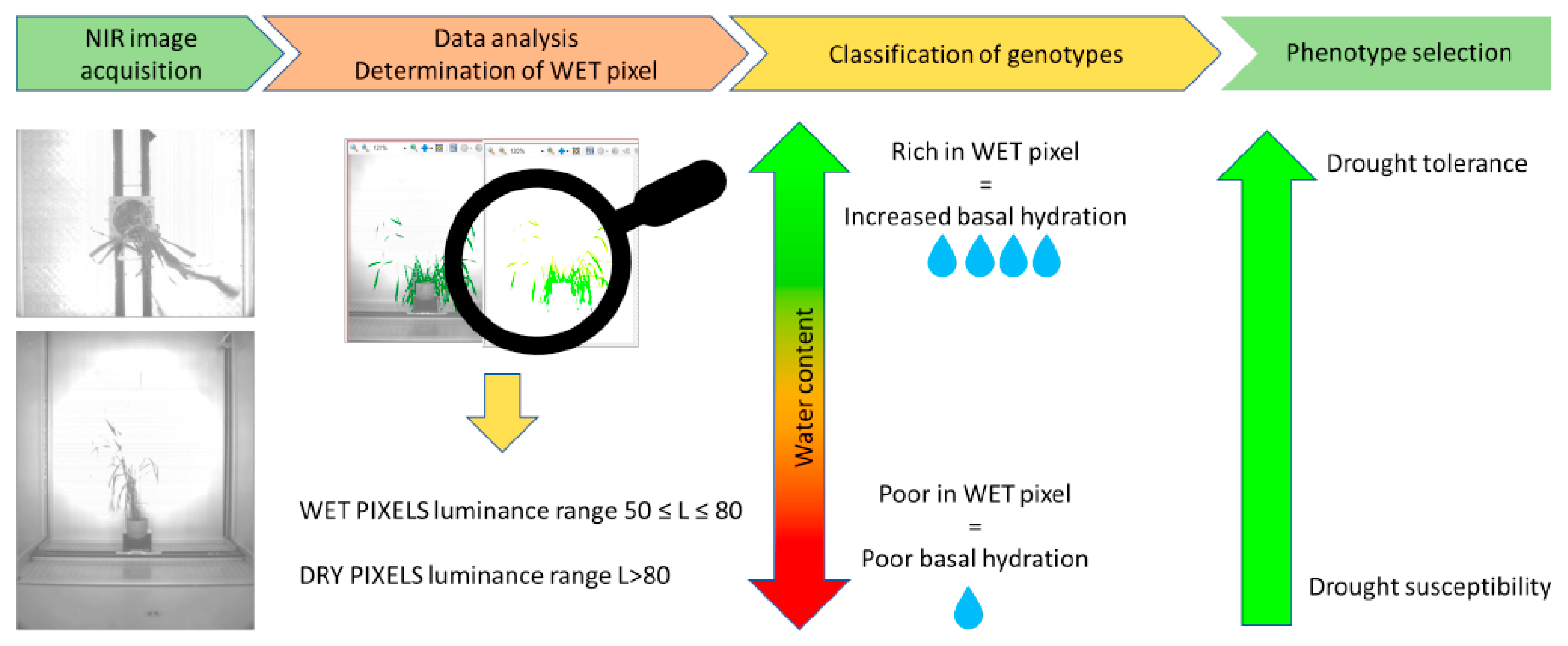Agriculture 12 00537 g001