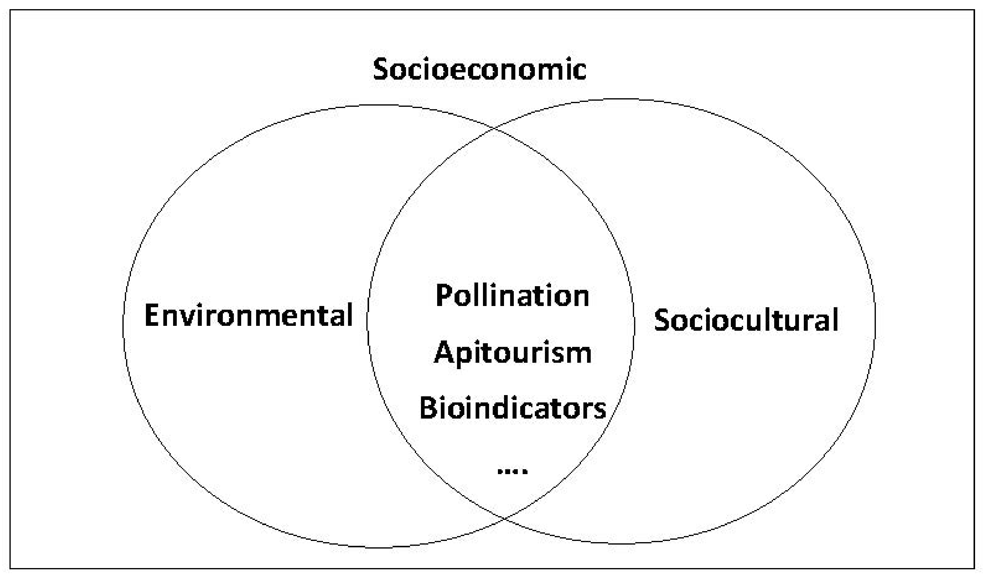 Agriculture 12 00551 g004