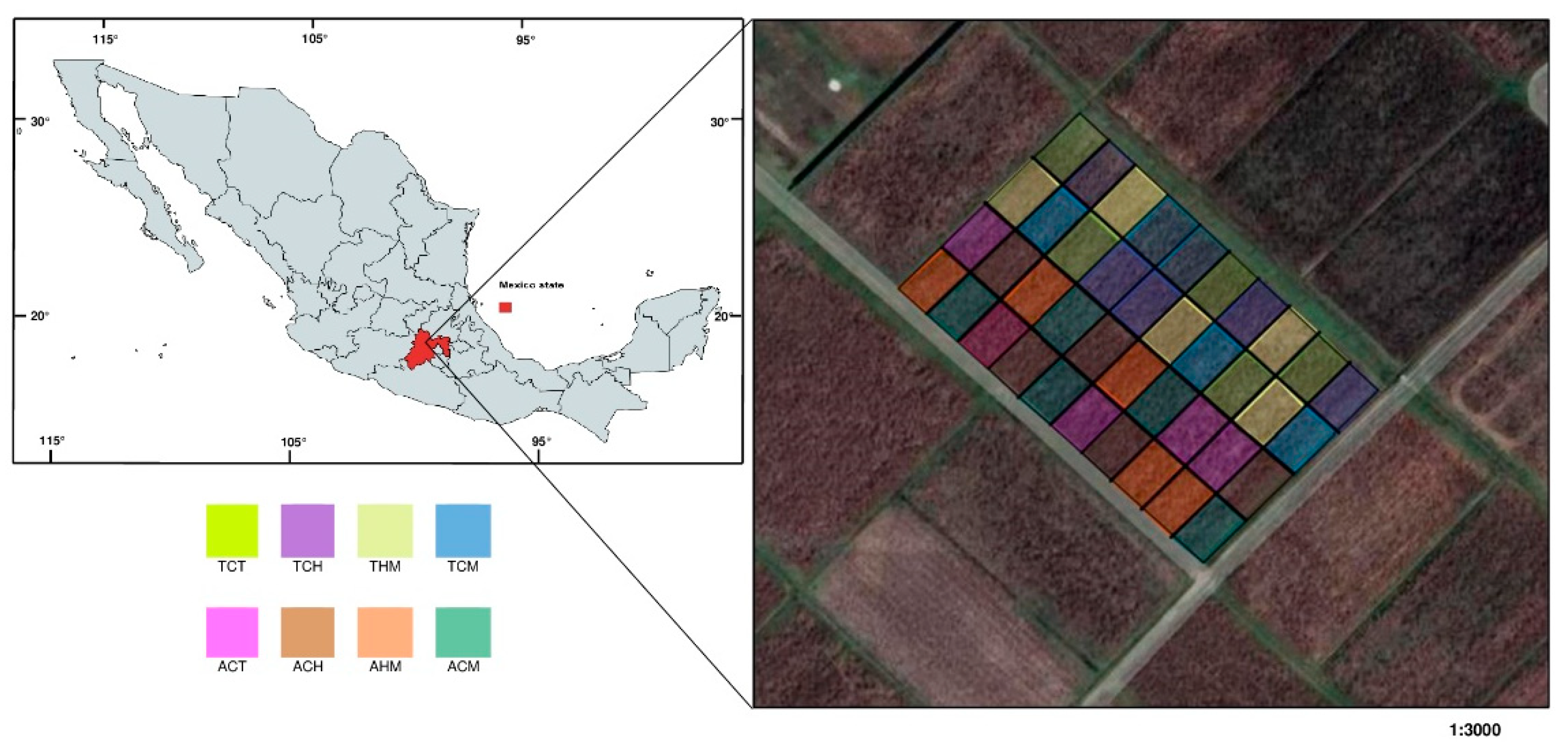Agriculture 12 00555 g001