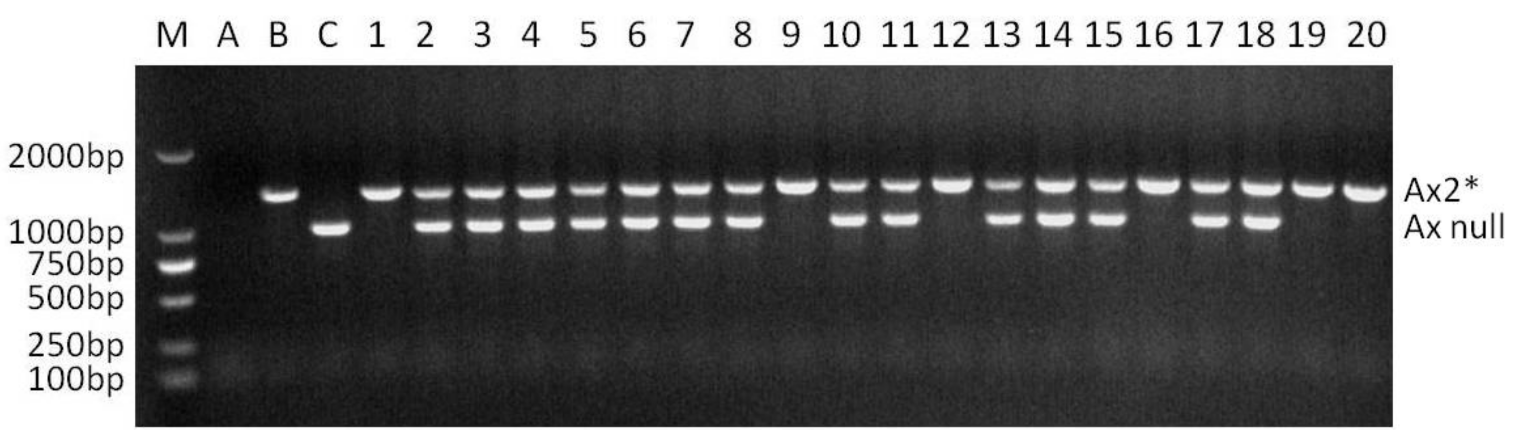 Agriculture 12 00556 g002