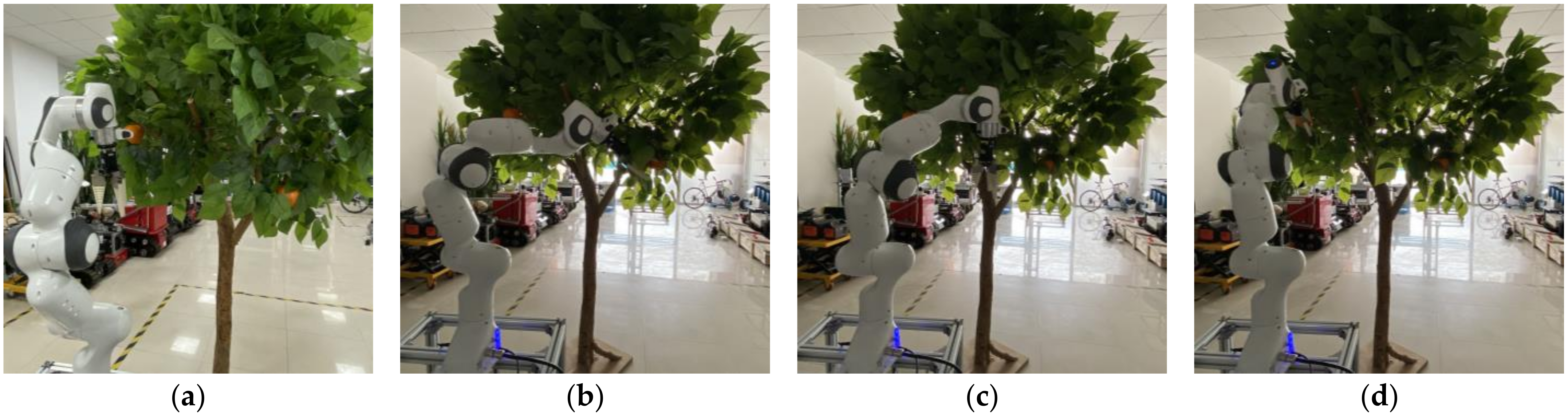 Agriculture 12 00581 g016