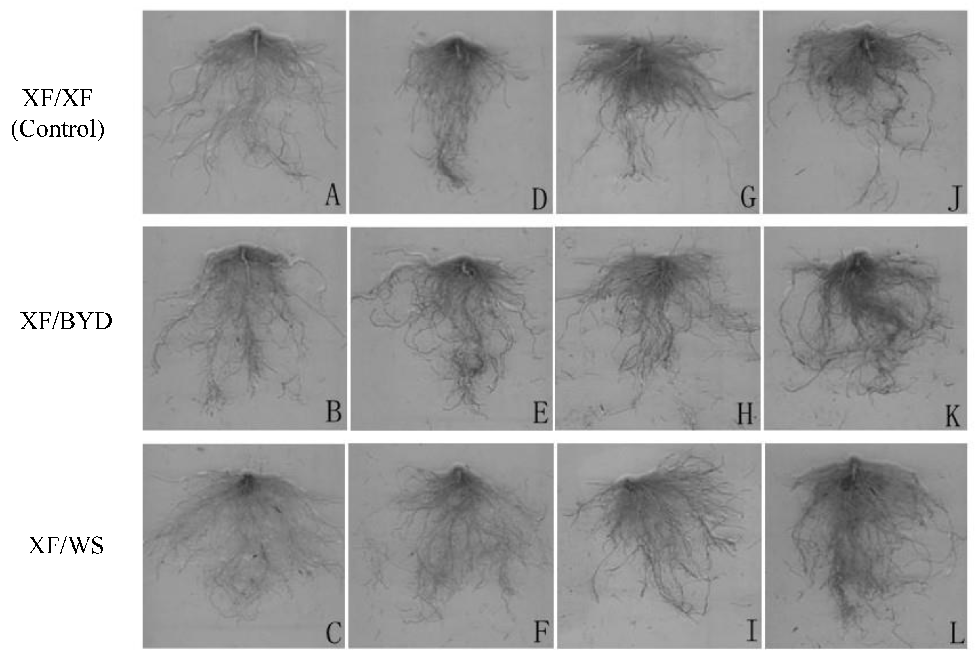 Agriculture 12 00583 g001