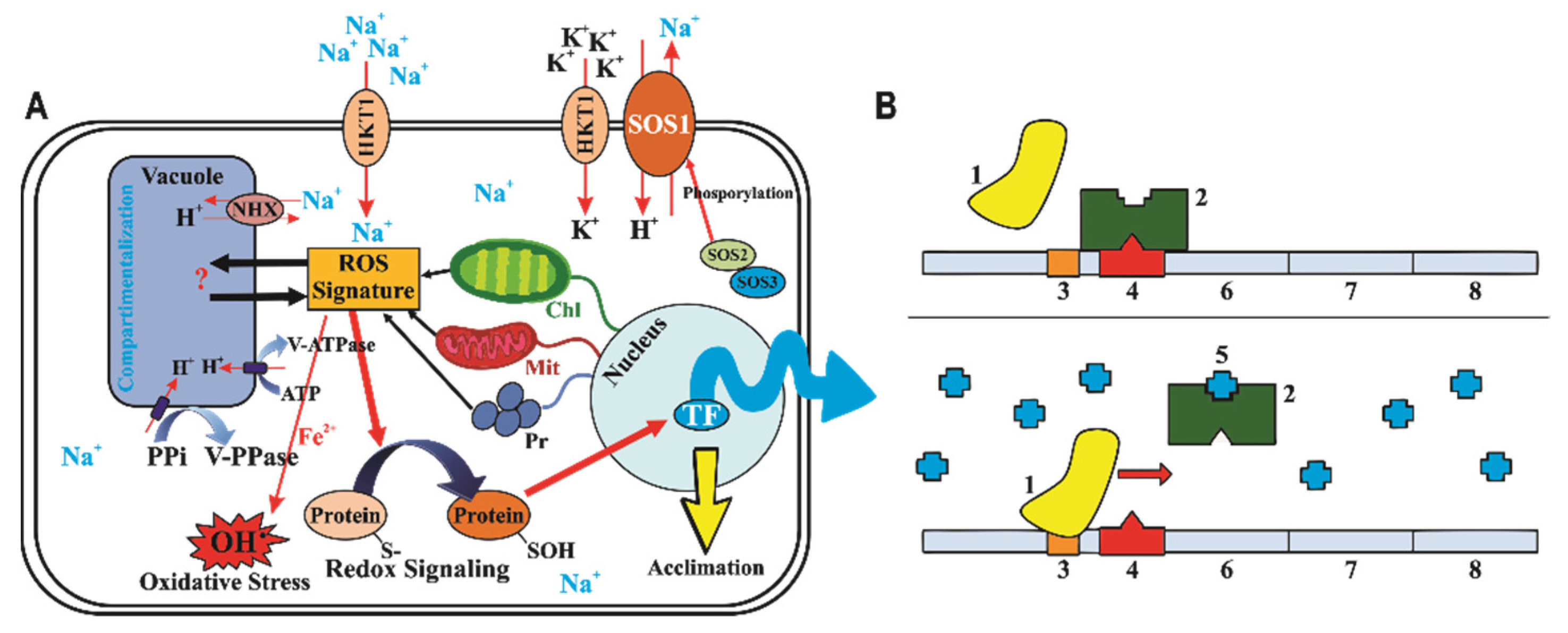 Agriculture 12 00594 g003 Agriculture 12 00594 g003
