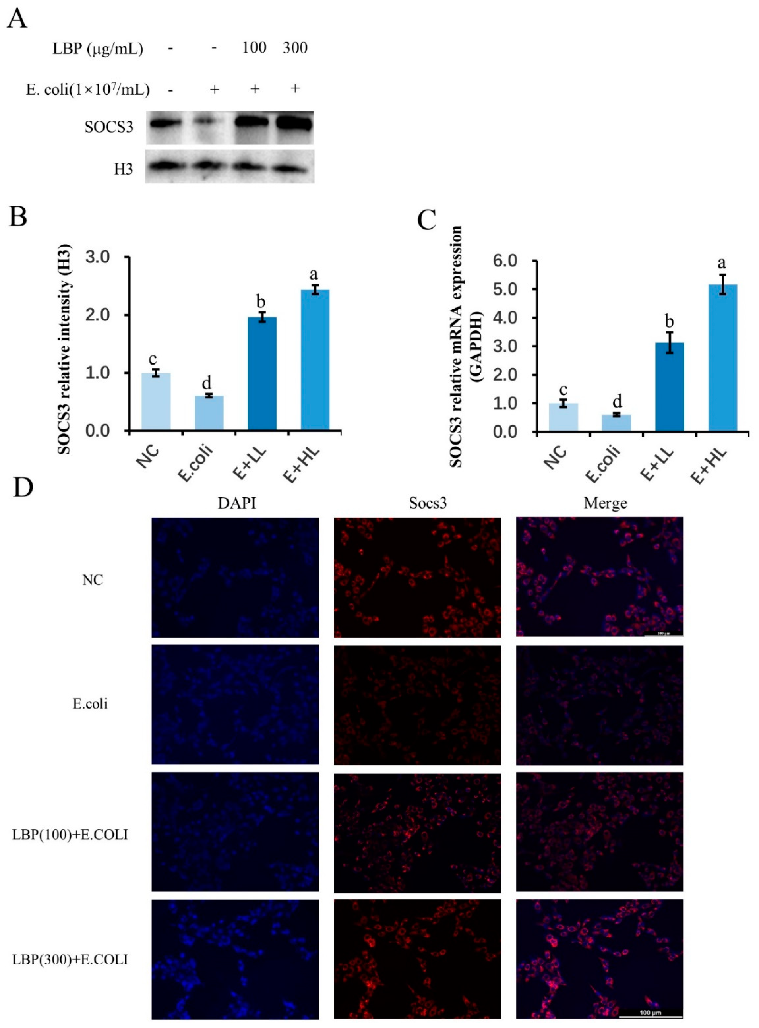 Agriculture 12 00598 g004