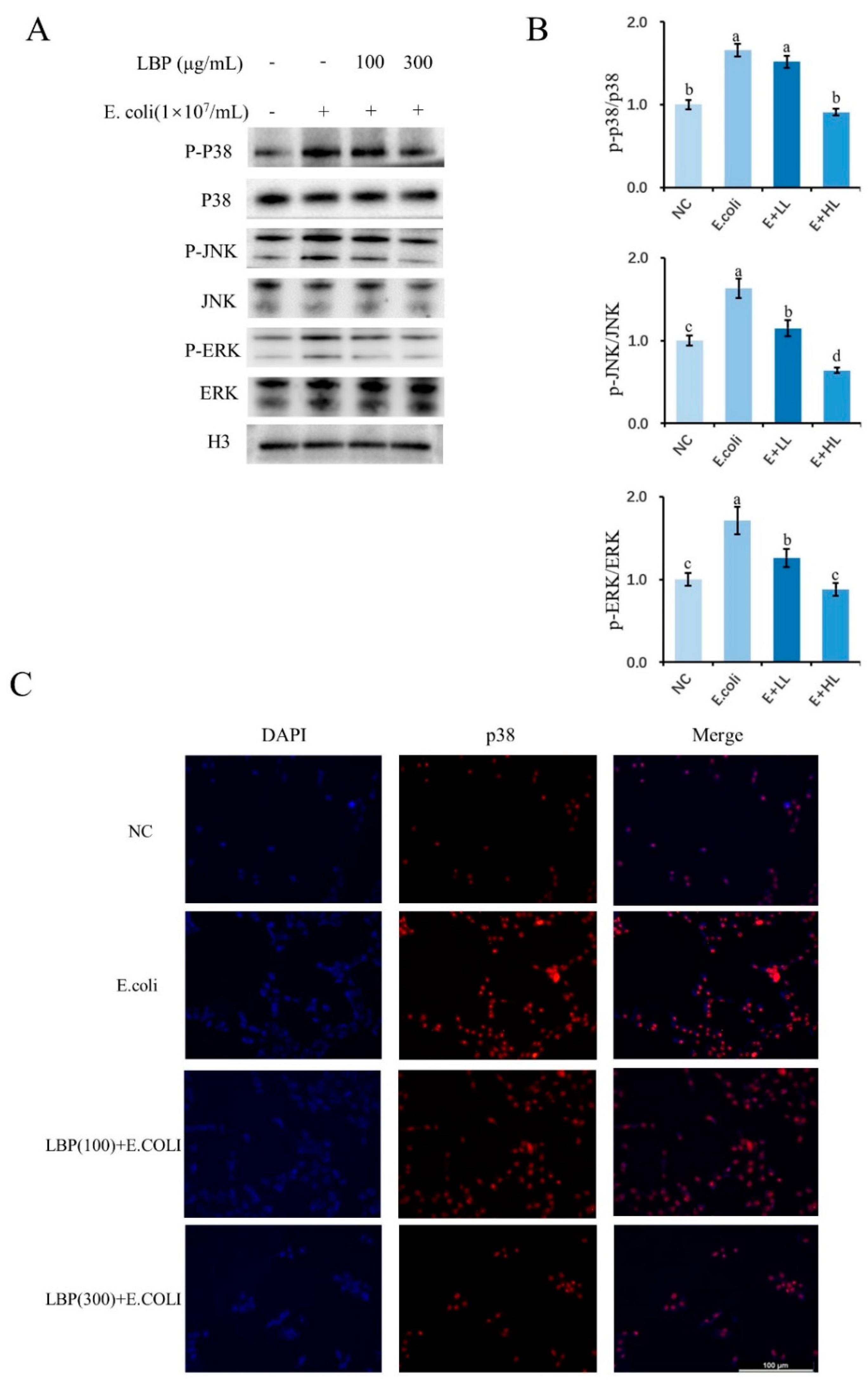 Agriculture 12 00598 g005