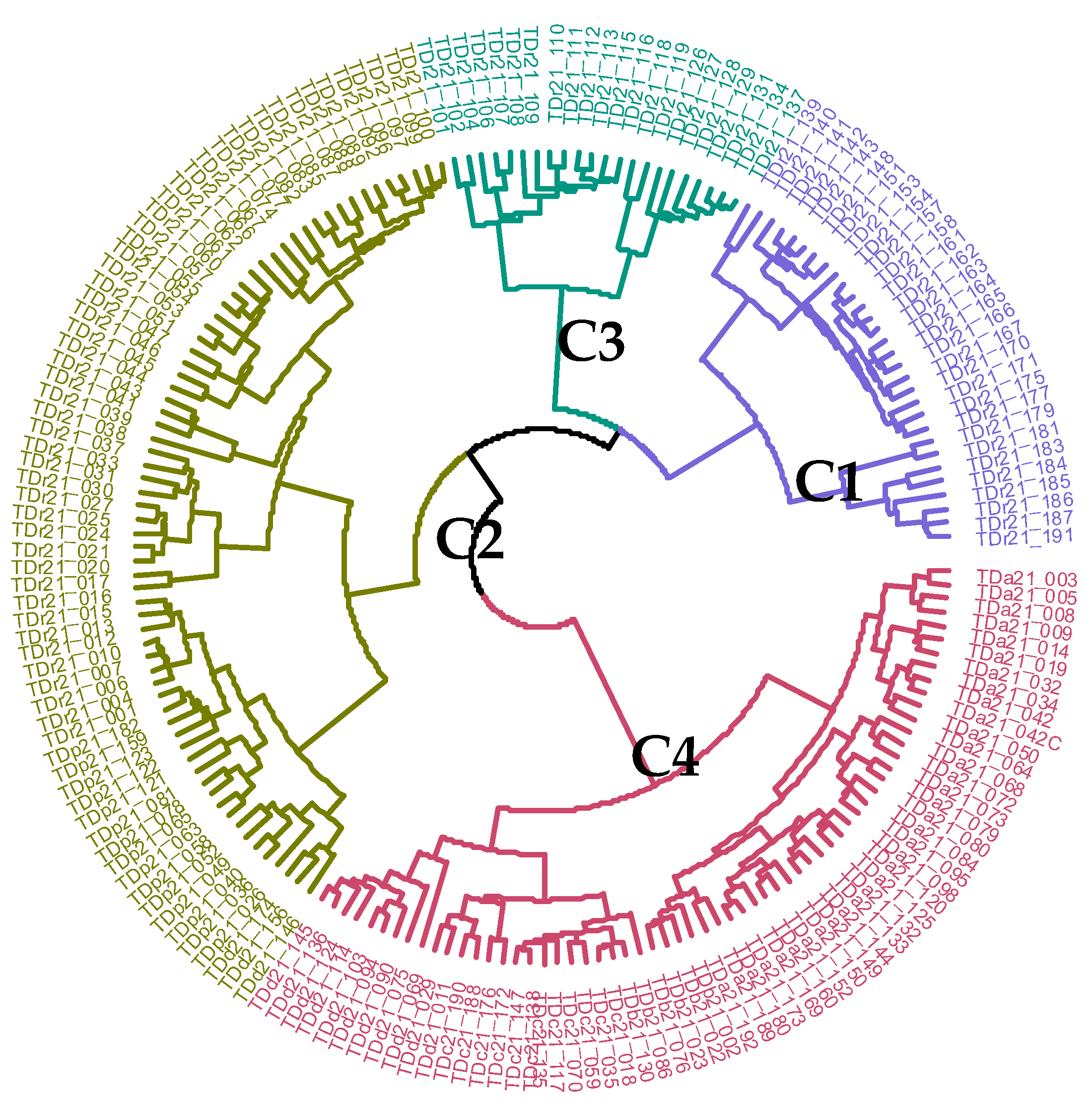 Agriculture 12 00599 g003