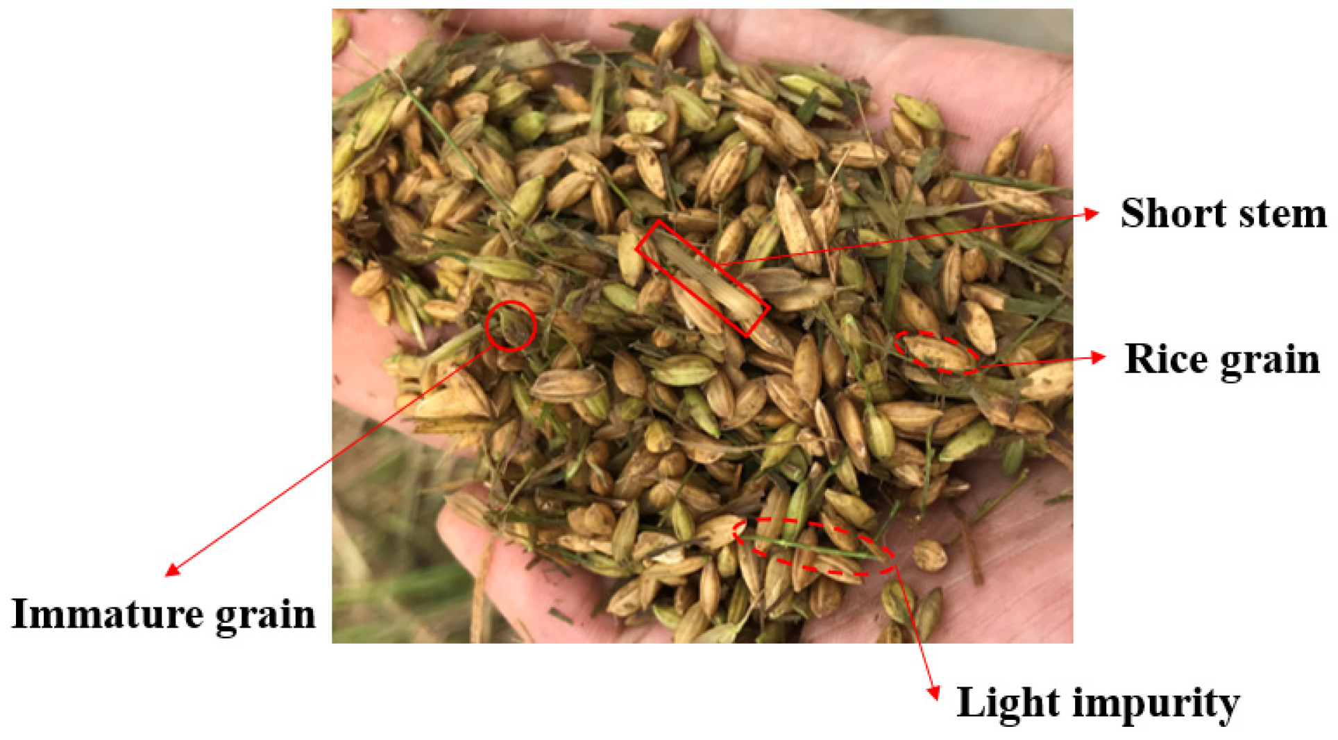 Agriculture 12 00601 g001