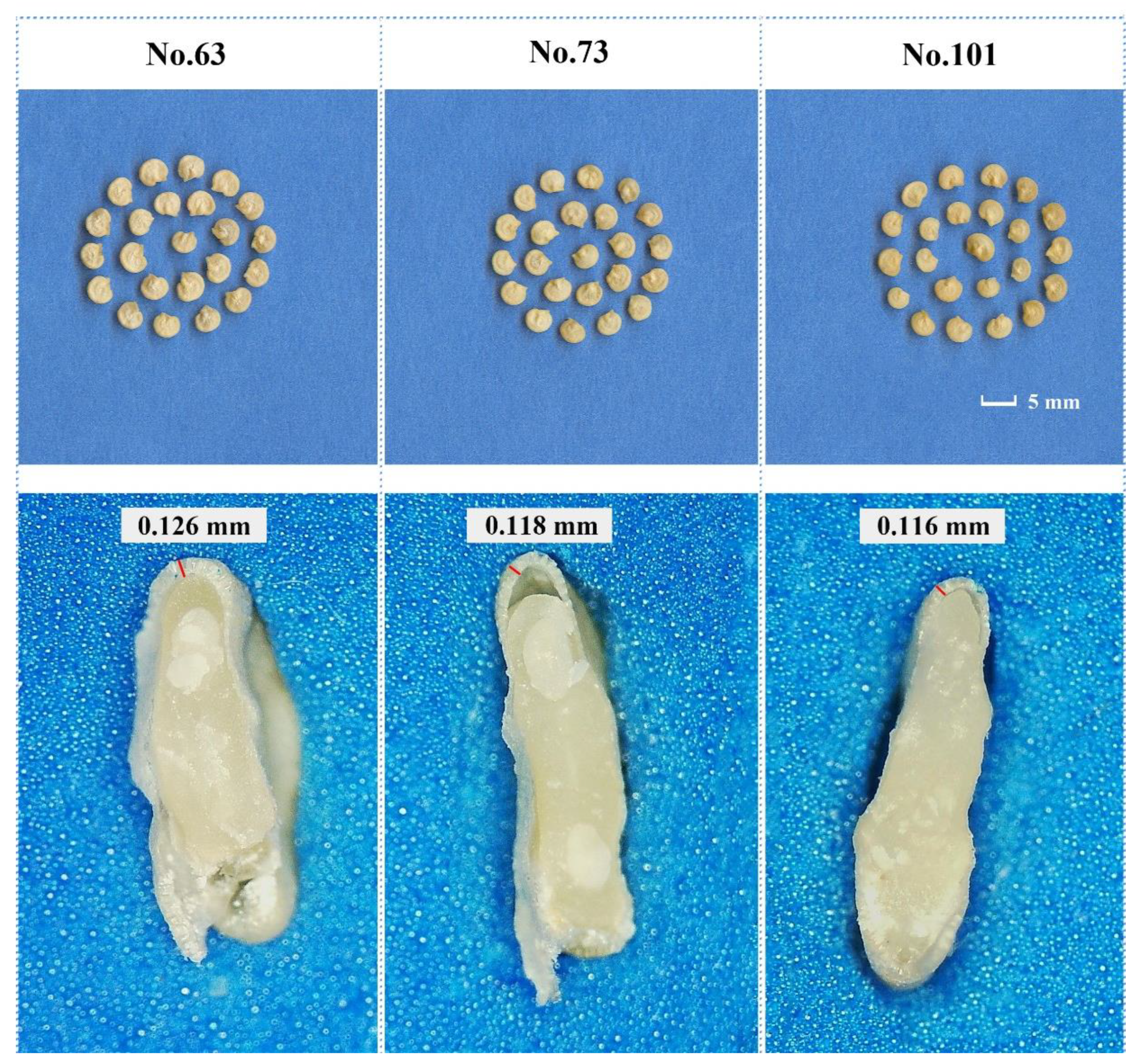 Agriculture 12 00603 g001
