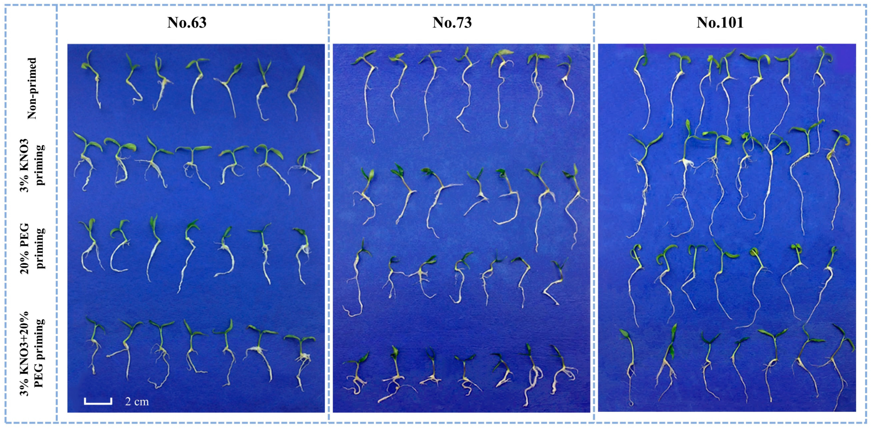 Agriculture 12 00603 g002