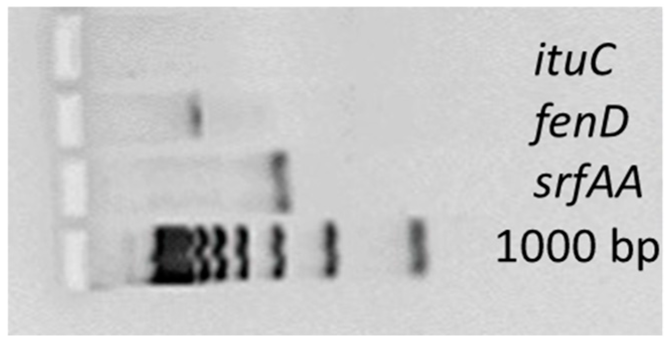 Agriculture 12 00609 g001