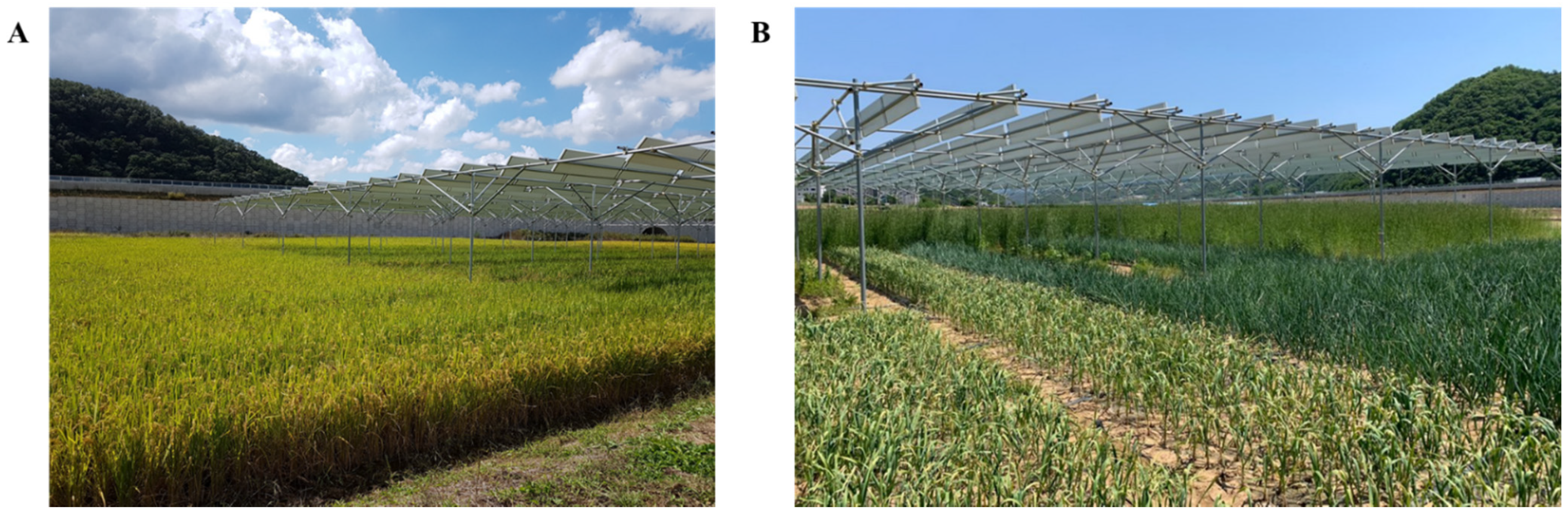 Agriculture 12 00619 g002