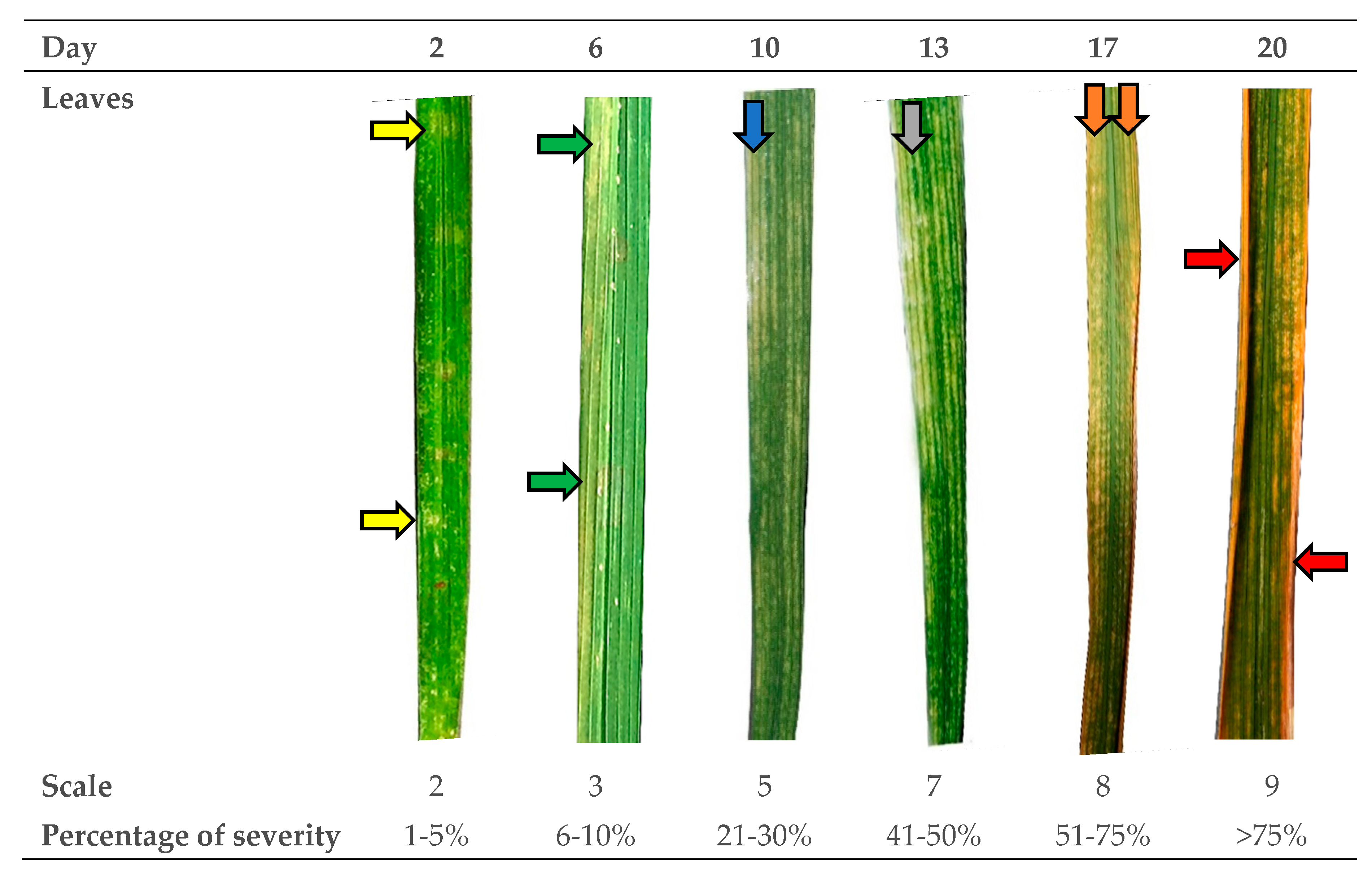 Agriculture 12 00629 g001