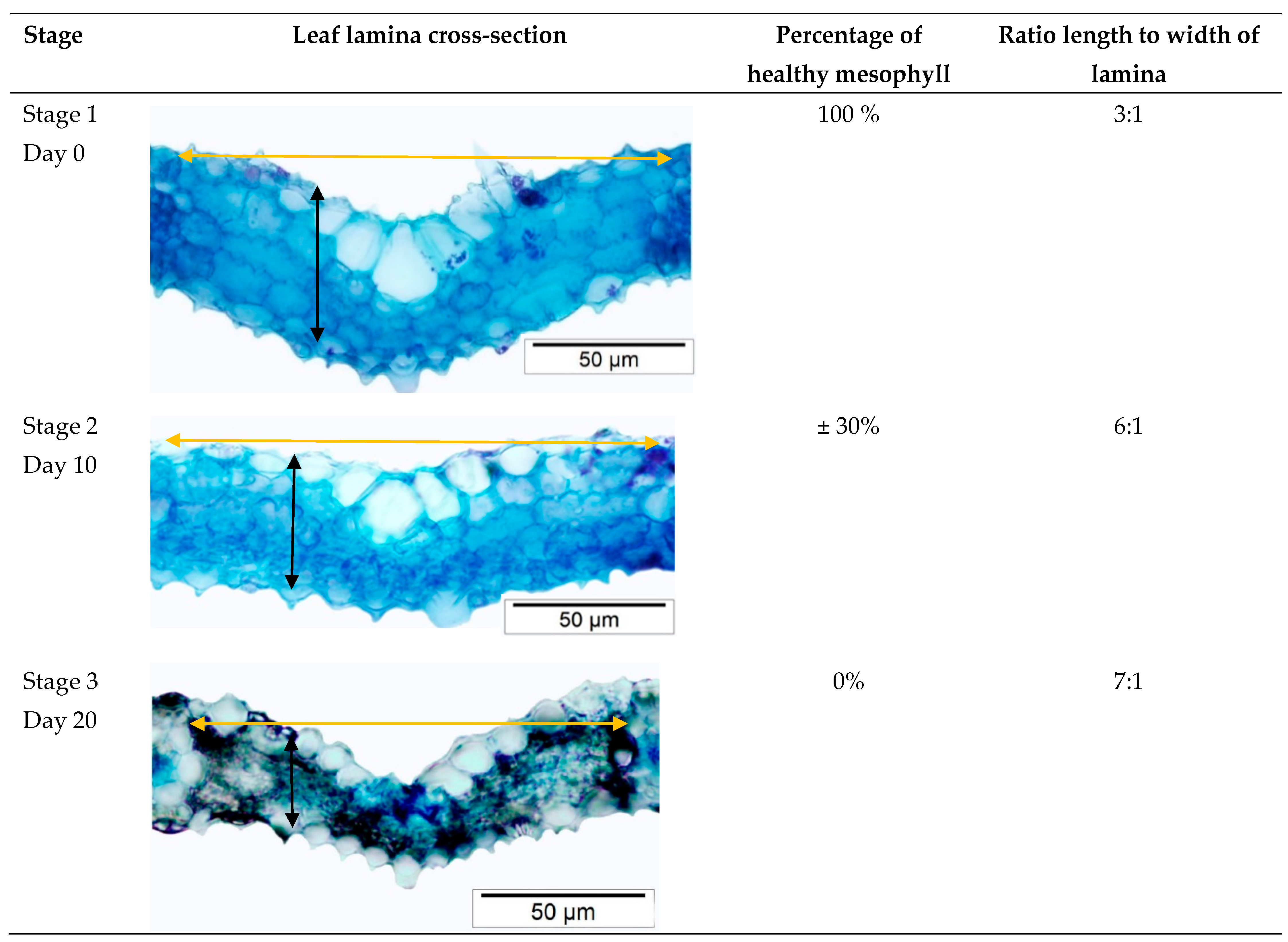 Agriculture 12 00629 g002
