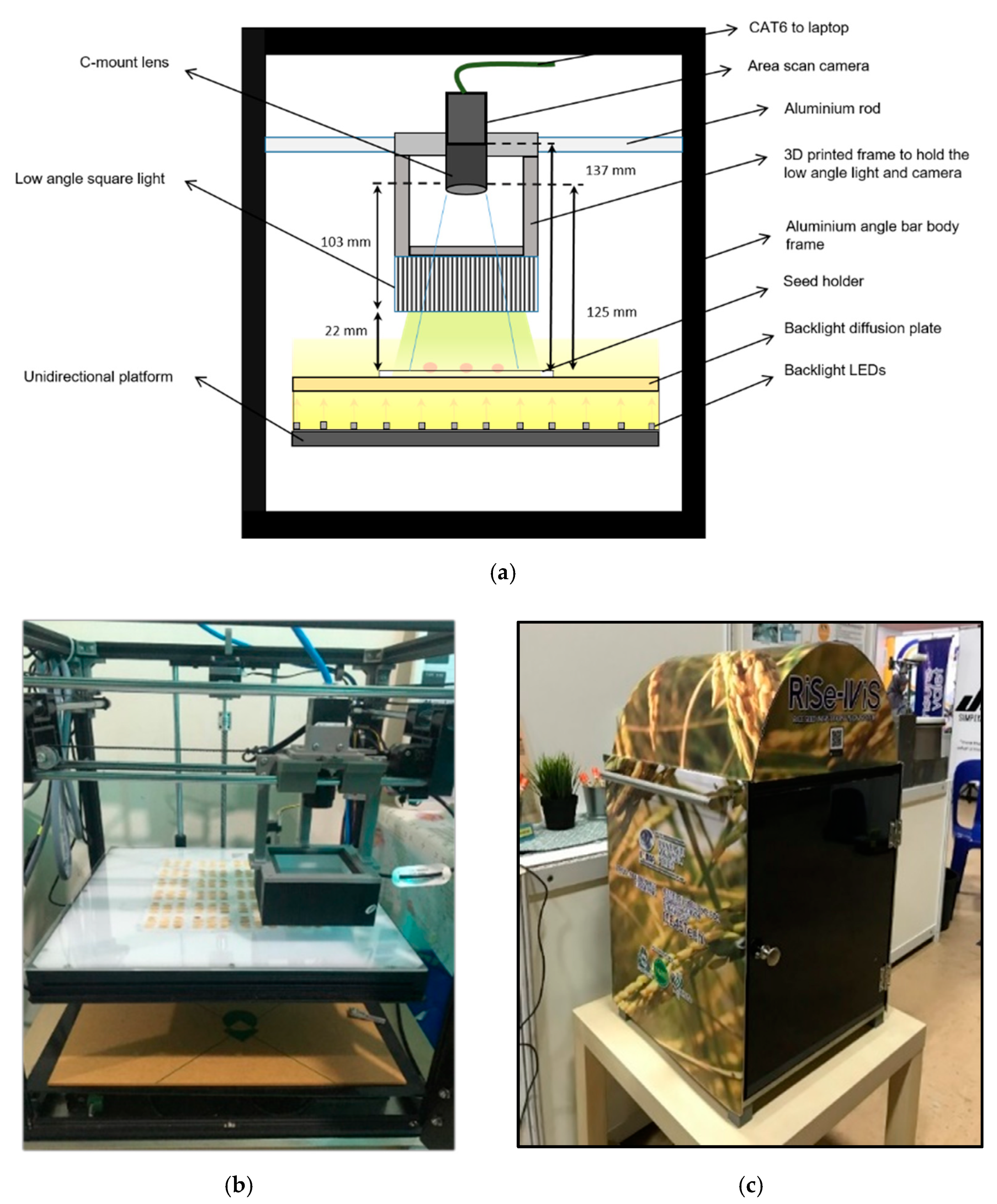 Agriculture 12 00645 g001