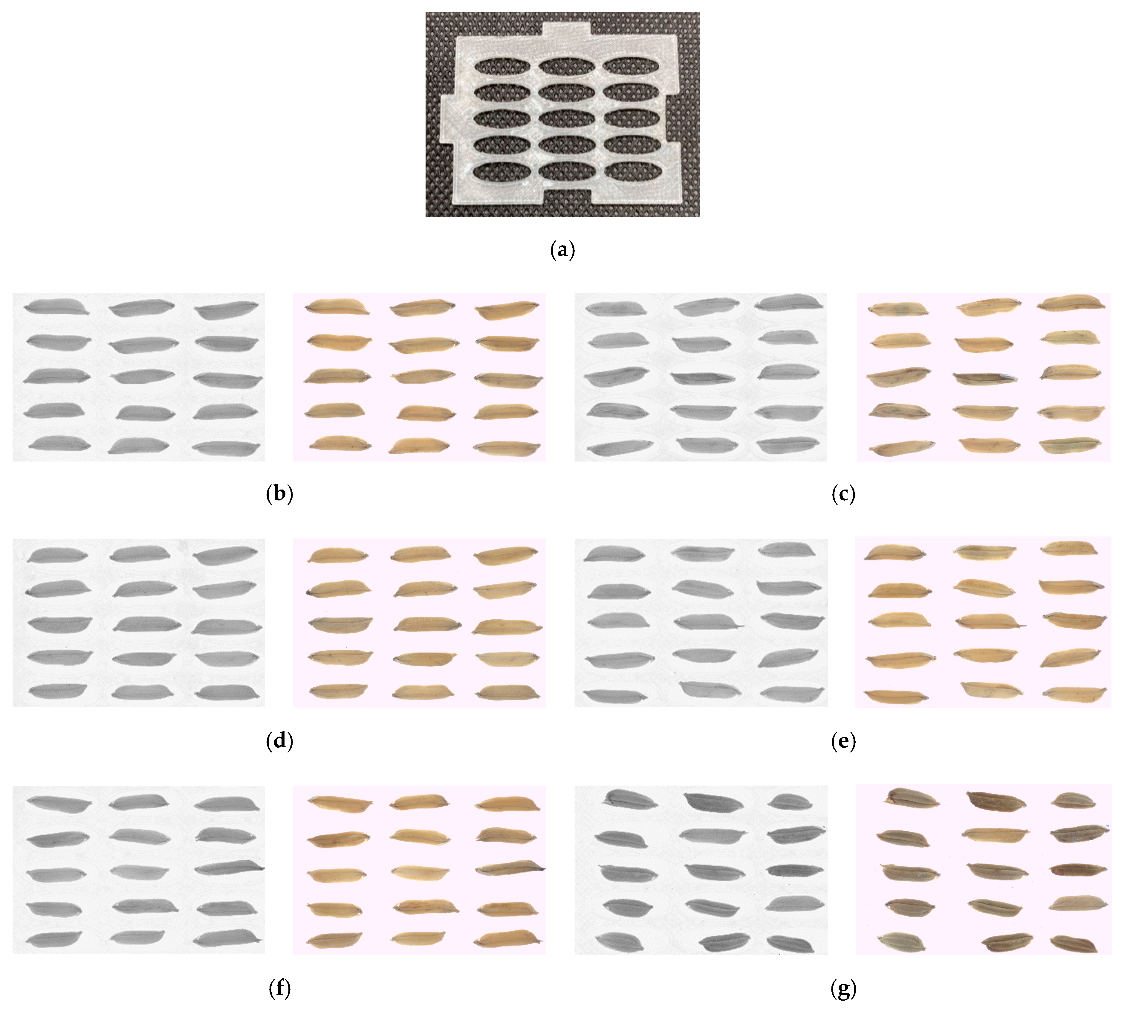 Agriculture 12 00645 g002