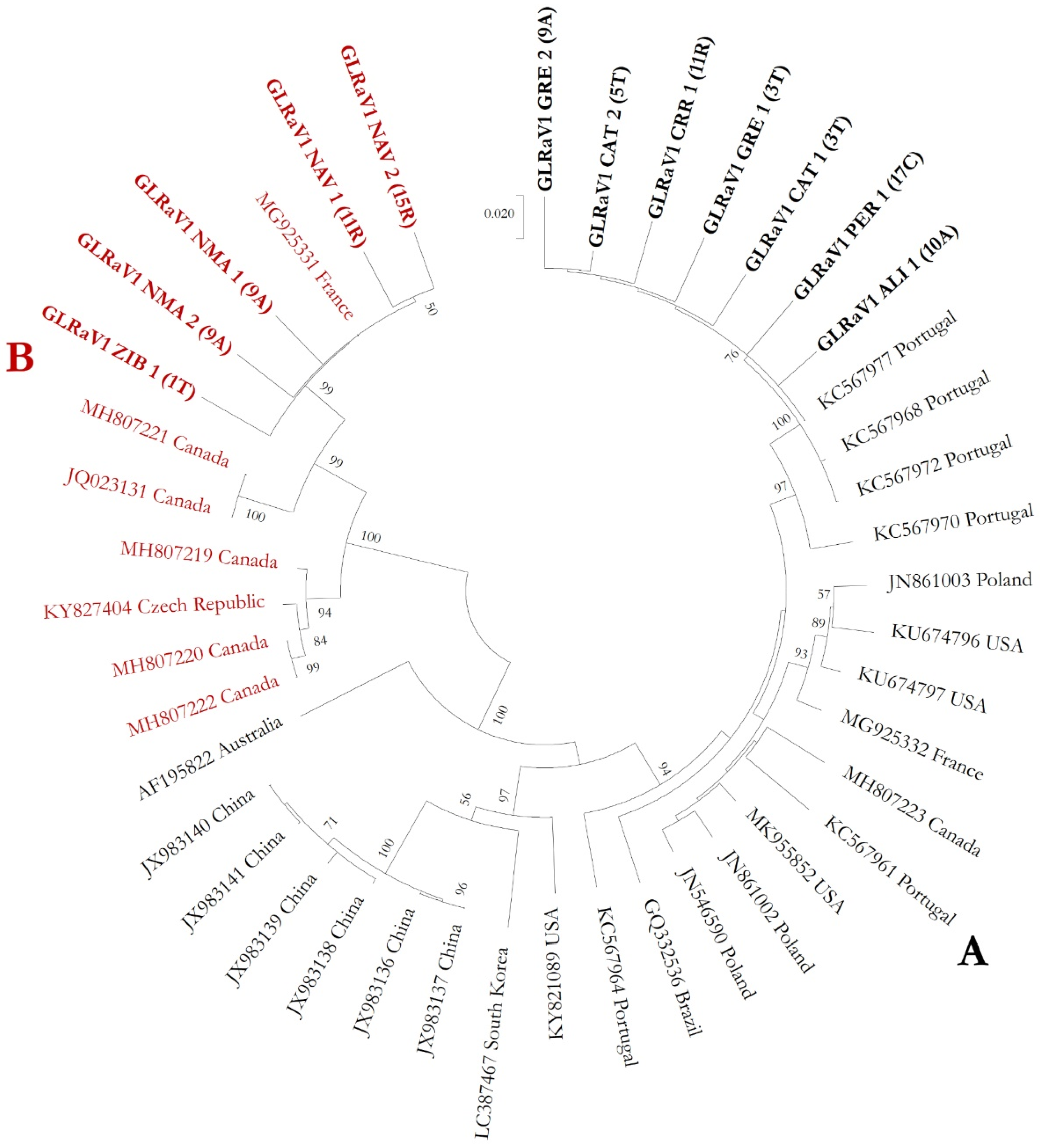 Agriculture 12 00647 g001