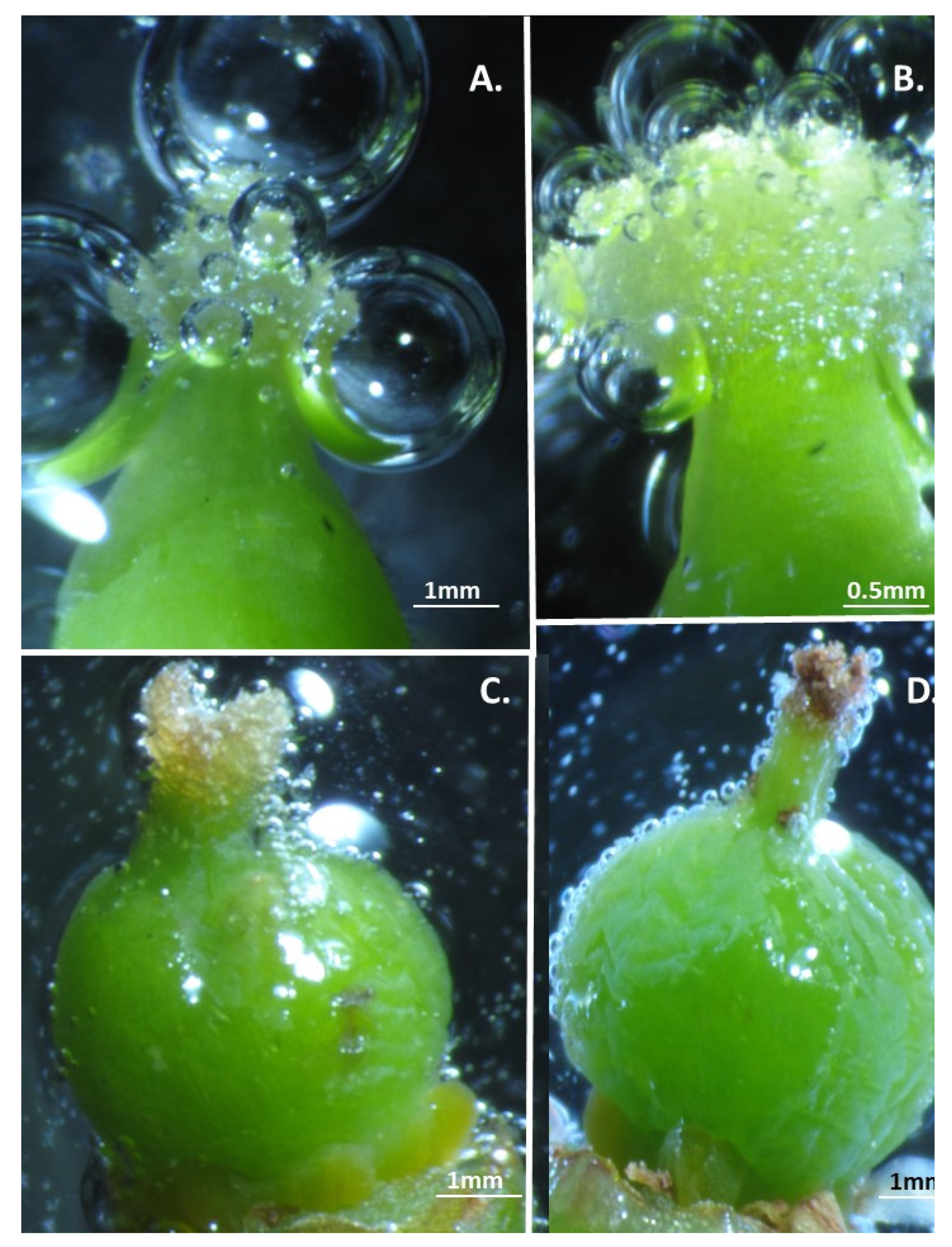 Agriculture 12 00655 g005