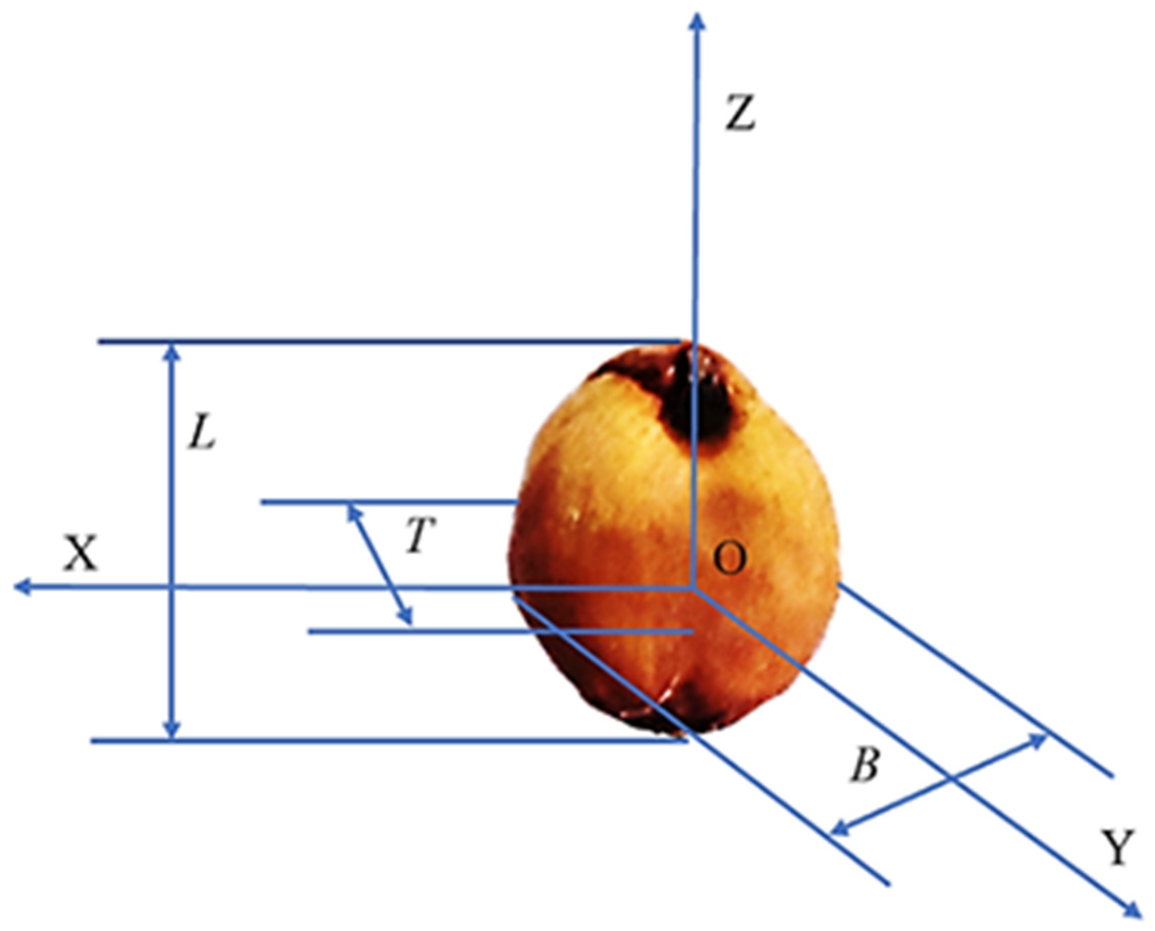 Agriculture 12 00681 g001