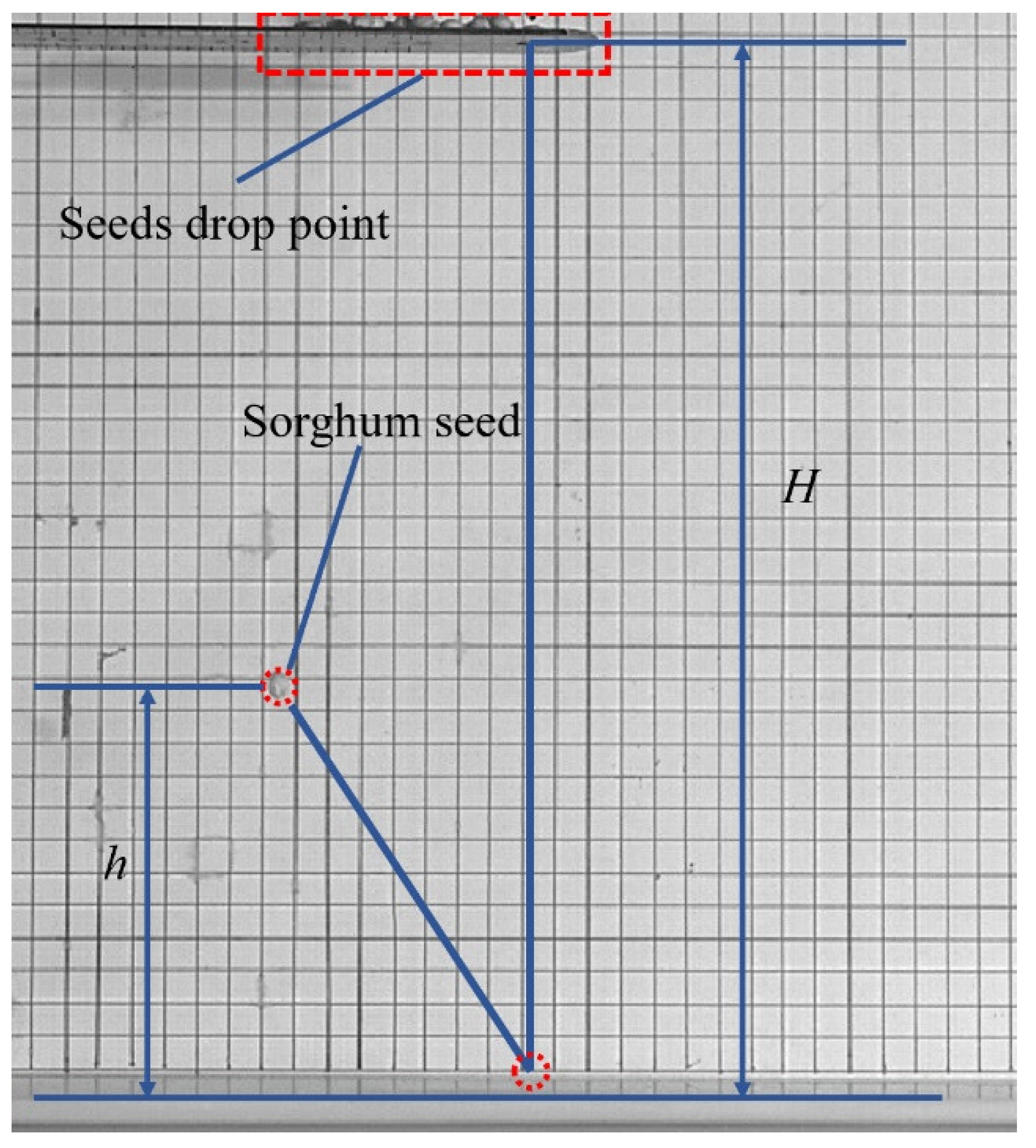 Agriculture 12 00681 g006
