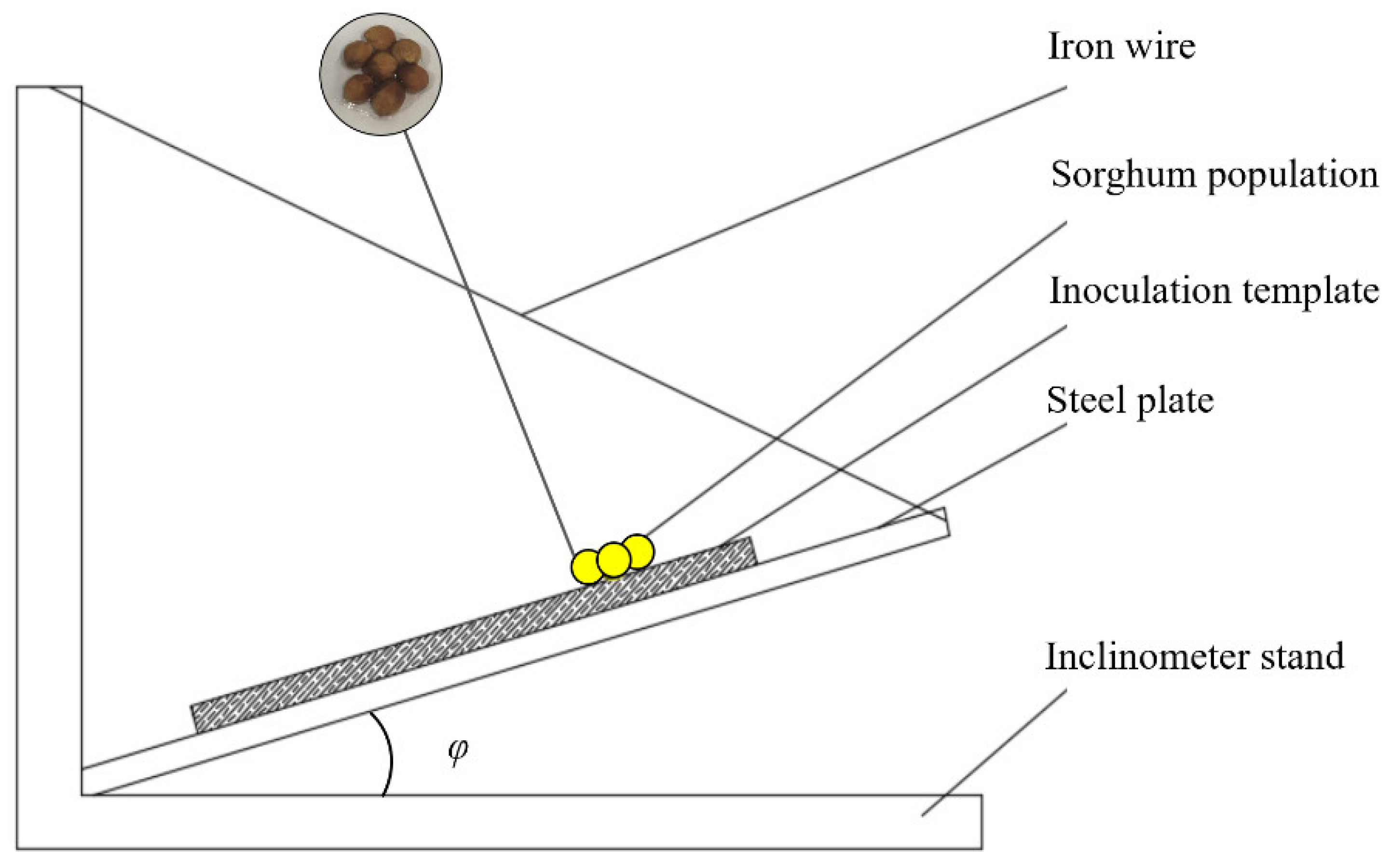 Agriculture 12 00681 g007