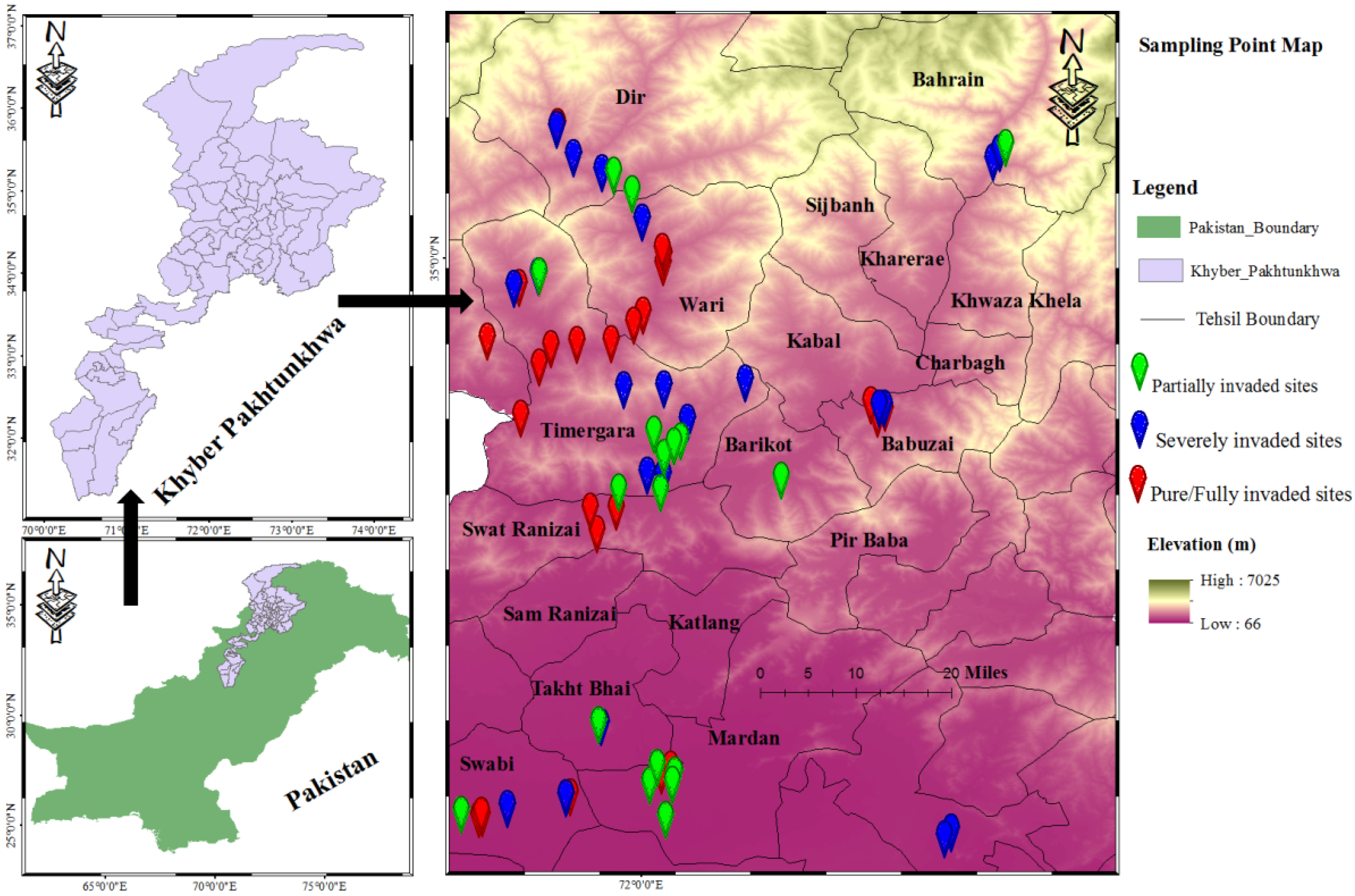 Agriculture 12 00687 g001