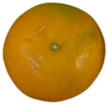 Agriculture 12 00701 i001 Agriculture 12 00701 i001