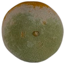 Agriculture 12 00701 i003 Agriculture 12 00701 i003