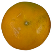 Agriculture 12 00701 i004 Agriculture 12 00701 i004