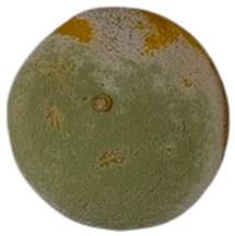 Agriculture 12 00701 i006 Agriculture 12 00701 i006