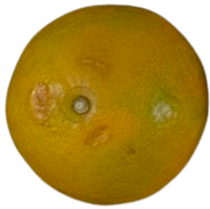 Agriculture 12 00701 i007 Agriculture 12 00701 i007