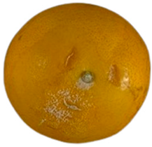 Agriculture 12 00701 i008 Agriculture 12 00701 i008