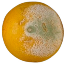 Agriculture 12 00701 i009 Agriculture 12 00701 i009