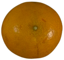 Agriculture 12 00701 i010 Agriculture 12 00701 i010