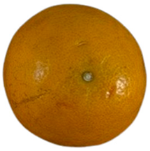 Agriculture 12 00701 i011 Agriculture 12 00701 i011