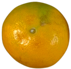 Agriculture 12 00701 i013 Agriculture 12 00701 i013