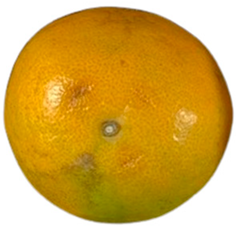 Agriculture 12 00701 i014 Agriculture 12 00701 i014