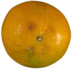 Agriculture 12 00701 i015 Agriculture 12 00701 i015