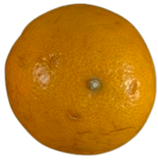 Agriculture 12 00701 i017 Agriculture 12 00701 i017