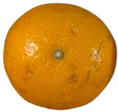 Agriculture 12 00701 i018 Agriculture 12 00701 i018