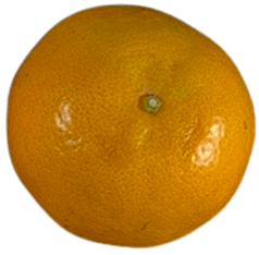 Agriculture 12 00701 i019 Agriculture 12 00701 i019