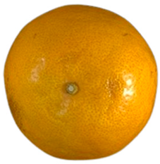 Agriculture 12 00701 i020 Agriculture 12 00701 i020