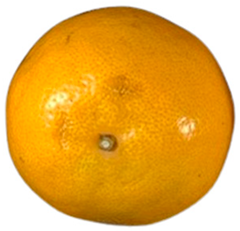 Agriculture 12 00701 i021 Agriculture 12 00701 i021