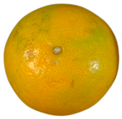 Agriculture 12 00701 i022 Agriculture 12 00701 i022