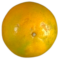 Agriculture 12 00701 i023 Agriculture 12 00701 i023