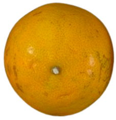 Agriculture 12 00701 i024 Agriculture 12 00701 i024