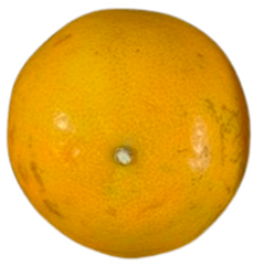 Agriculture 12 00701 i025 Agriculture 12 00701 i025