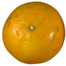 Agriculture 12 00701 i026 Agriculture 12 00701 i026