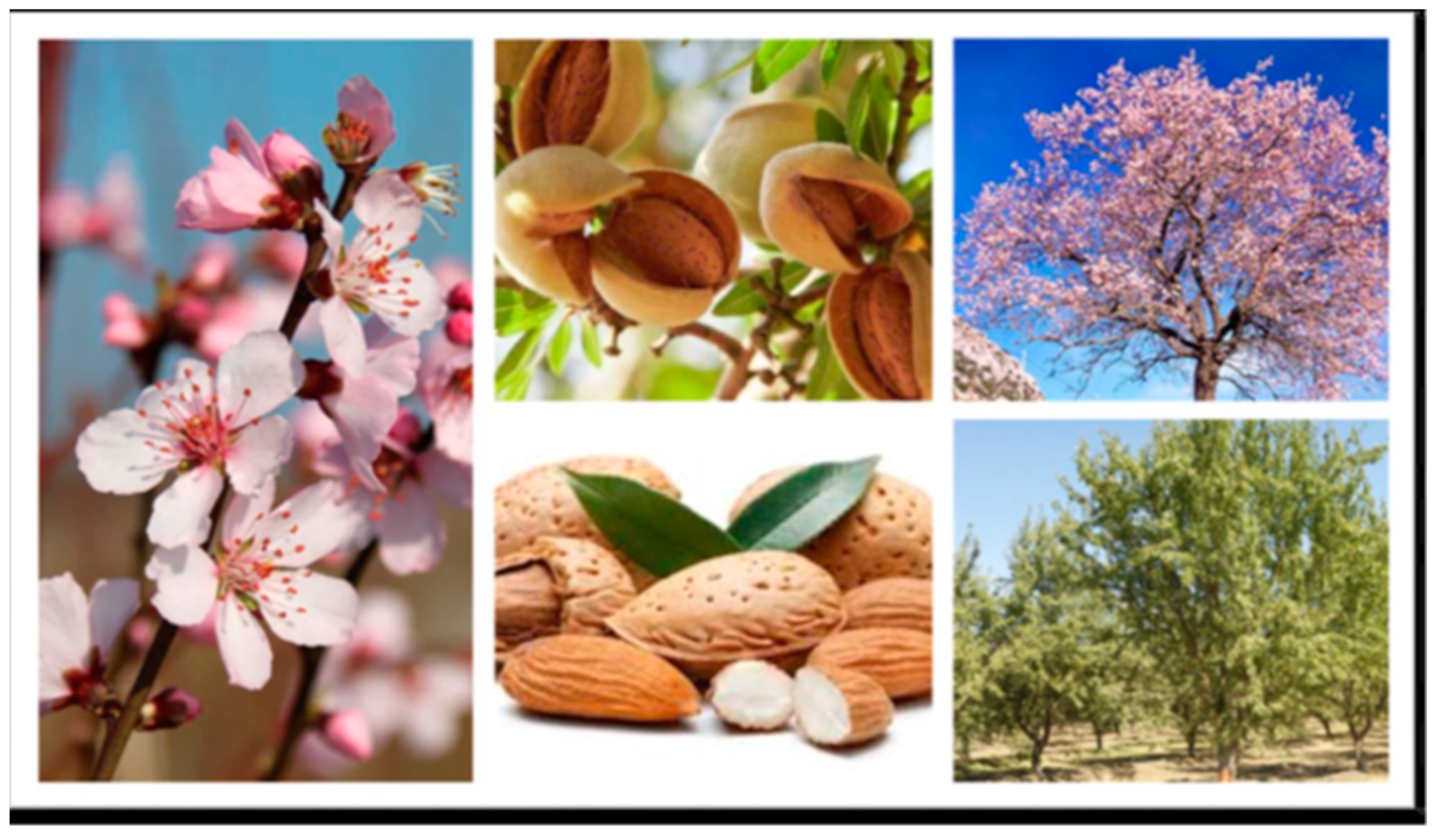 Agriculture 12 00710 g001