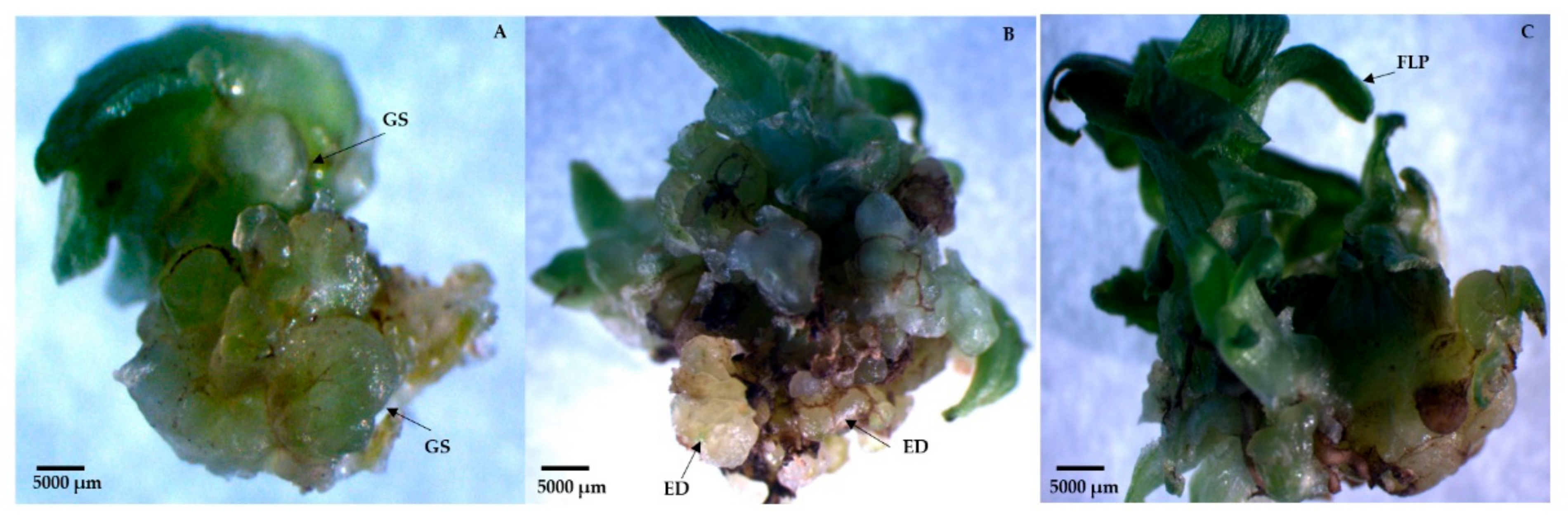 Agriculture 12 00713 g002